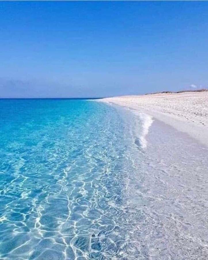 Touta * Hawmat al Badawiyin
